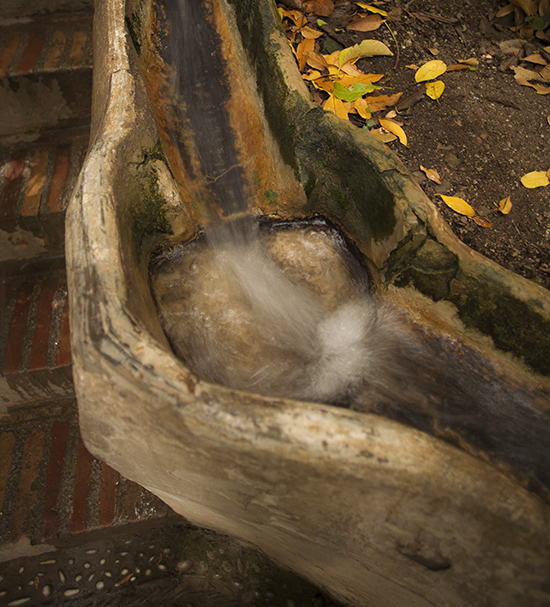 importancia del agua en la Alhambra