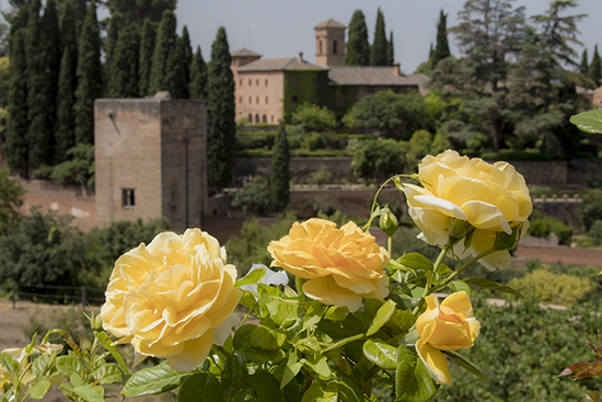  jardines del Generalife