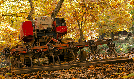 trabajos forestales en un castañar
