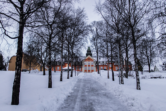 calle, iglesia, bosque nevado, Tromso