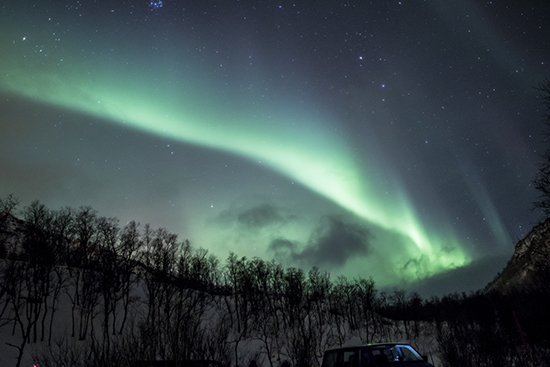 aurora, cortina curva