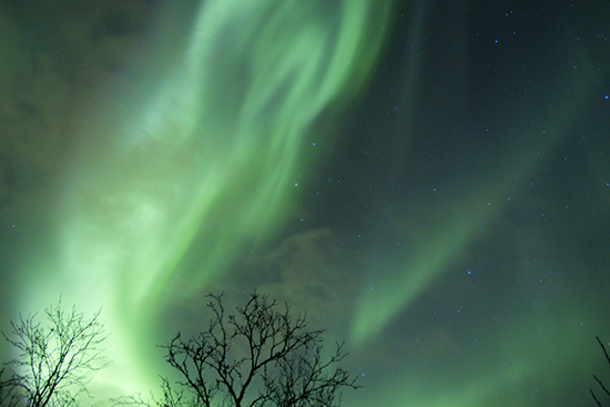 aurora en tromso