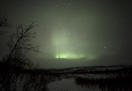 Aurora en Tromso