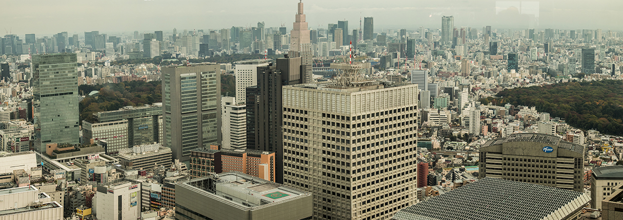 Panorama_Govern Building copia