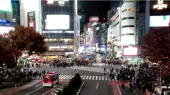 Shibuya-Xing2