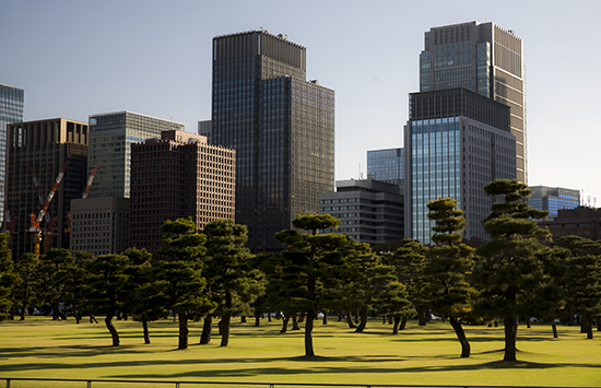 Skyline de Tokyo y árboles estéticamente retorcidos sobre verde cesped