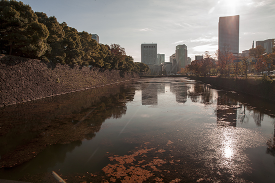 Arquitectura y reflejos en Tokyo