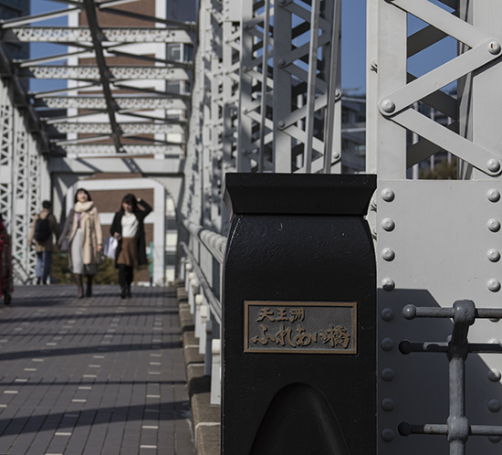 Puente de hierro detalles