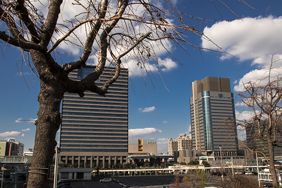 Odaiba en un día luminoso