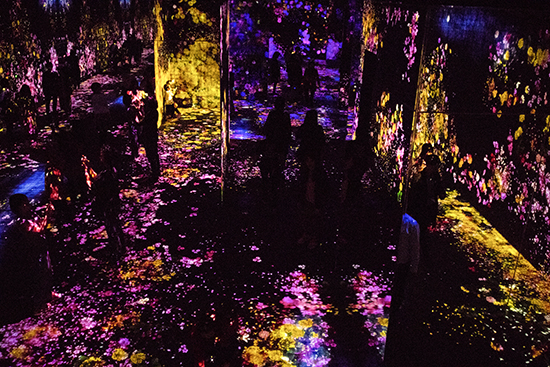 campo de flores digital