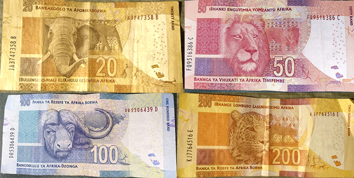 big five billetes rand sudafricano