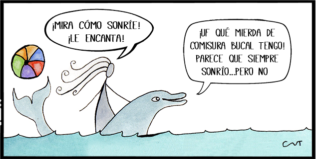bañarse con delfines