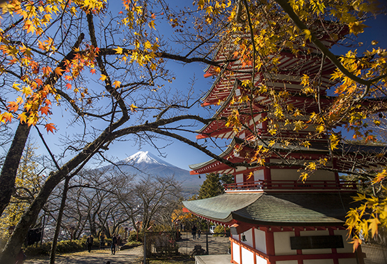 vistas panorámicas Fuji y pagoda Chureito Japón