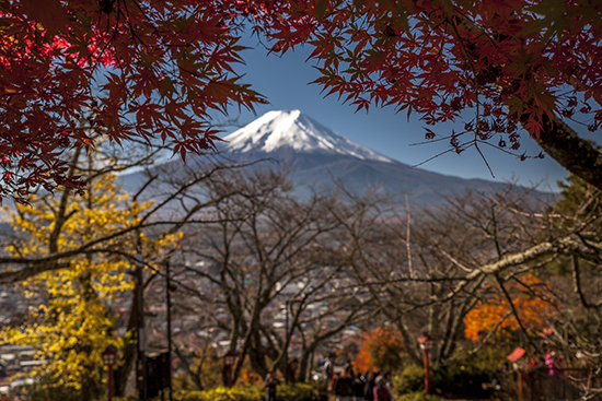 momiji en Fuji noviembre Japón