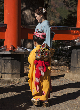 festival sichi go san Japón