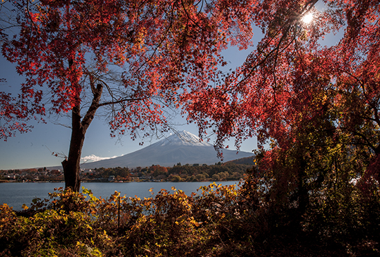 vistas Fuji en otoño en Kawaguchiko lake Japón