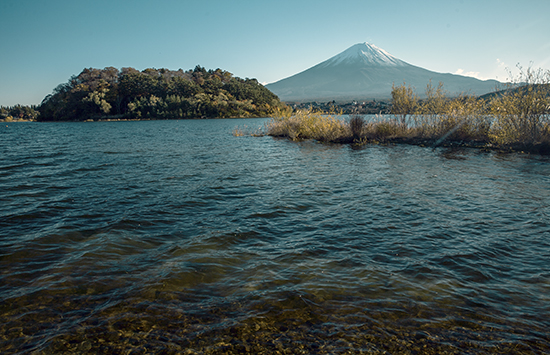 vistas Fuji en otoño en Kawaguchiko lake Japón