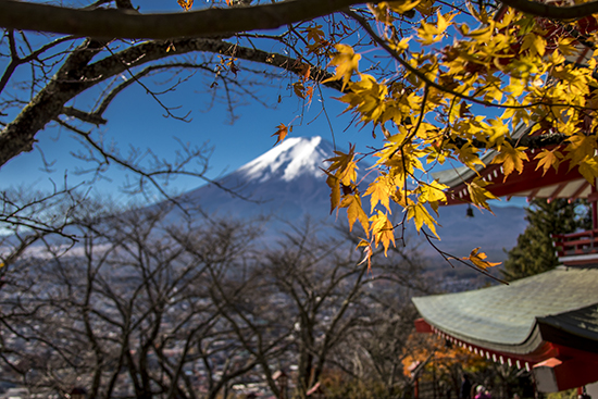 Otoño en Fuji Japón