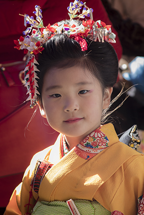 festival sichi go san Japón