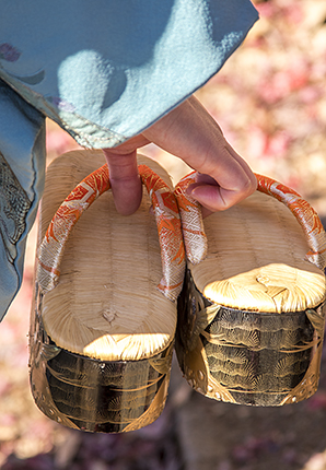 festival sichi go san Japón detalle