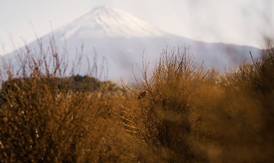 vistas Fuji en otoño en Kawaguchiko lake Japón