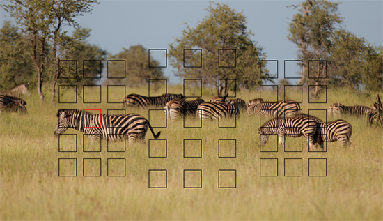 cambio punto enfoque