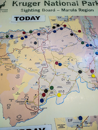 IMG_20190321_145456 copia.jpg