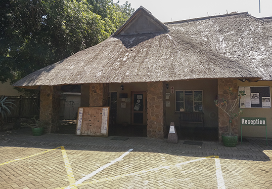 IMG_20190325_120629 copia.jpg