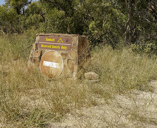 IMG_20190328_140530 copia.jpg