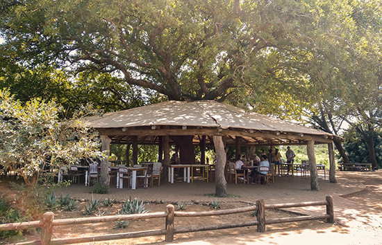 Tshokwane picnic area Kruger Sudafrica