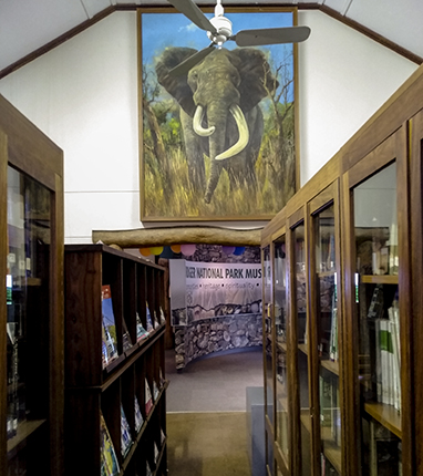 biblioteca Skukuza camp Kruger Sudafrica