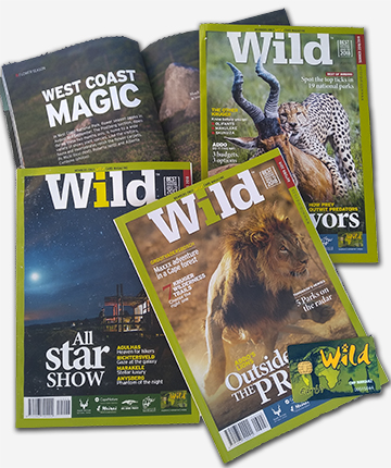 revista Wild Sanparks