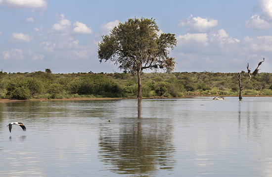 sunset dam Lower sabie Kruger Sudafrica
