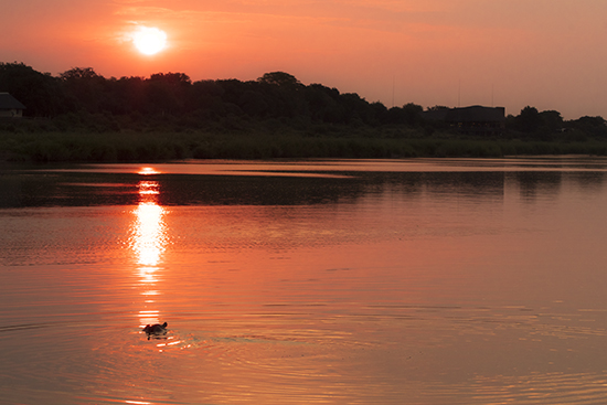 atardecer en Lower Sabie dam