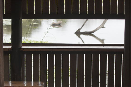 Hides in Kruger N.P Sudafrica