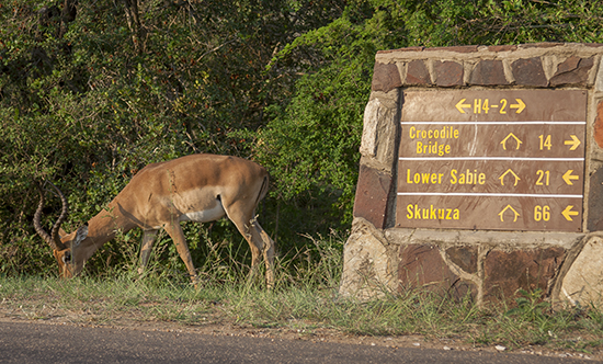 señalización carreteras Kruger N.P. Sudafrica