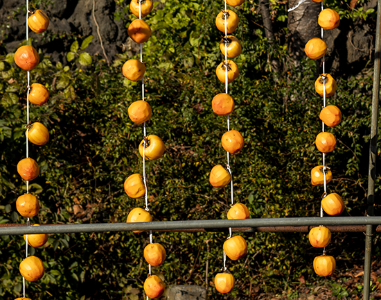 cuerdas con caquis colgando para secarse al sol