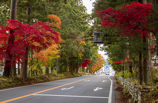 Una calle cualquiera de Japón en otoño