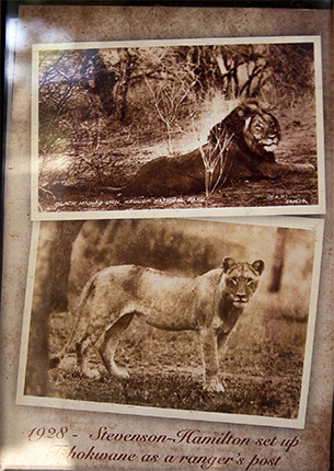 decoración Tshokwane pincic area Kruger Sudafrica