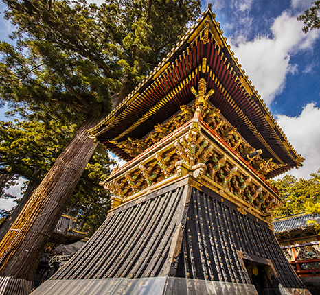 Panoramica Torre Nikko 