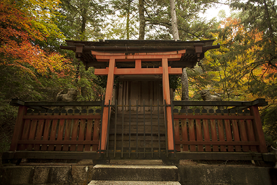 momijidani park Miyajima Japon autum