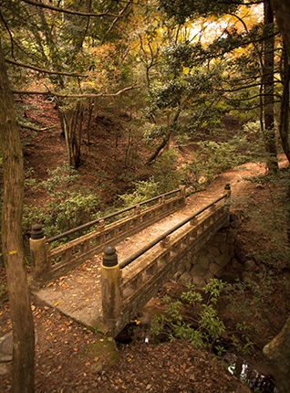 puentes en Miyajima Japon