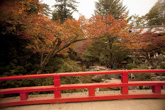puentes en Miyajima Japon otoño