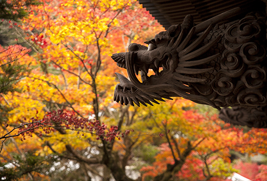 dragones en Japon Miyajima island