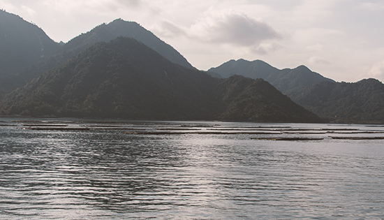 Mar de Seto Japon Miyajima island