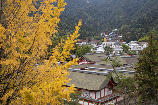 otoño en Miyajima