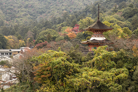 vistas Miyajima en noviembre