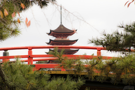 que ver en Itsukushima Japon Miyajima