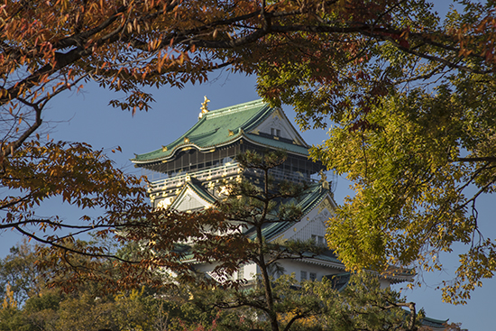 otoño en el castillo de Osaka