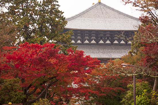 Todaiji temple Nara Japón